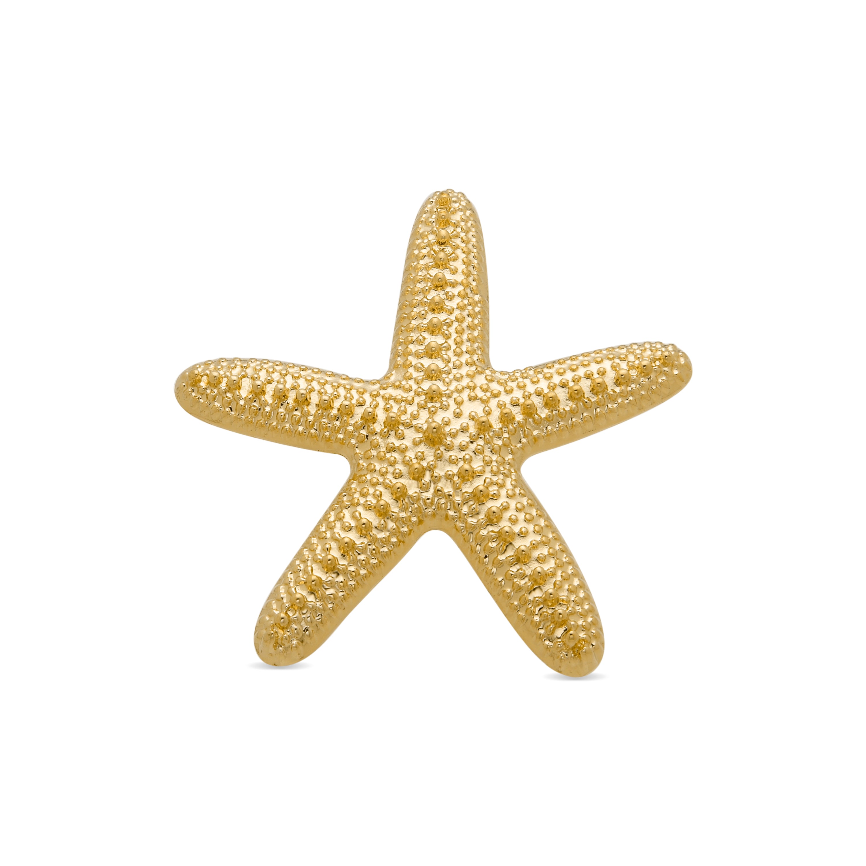 Broche Star acabado en oro amarillo 18K